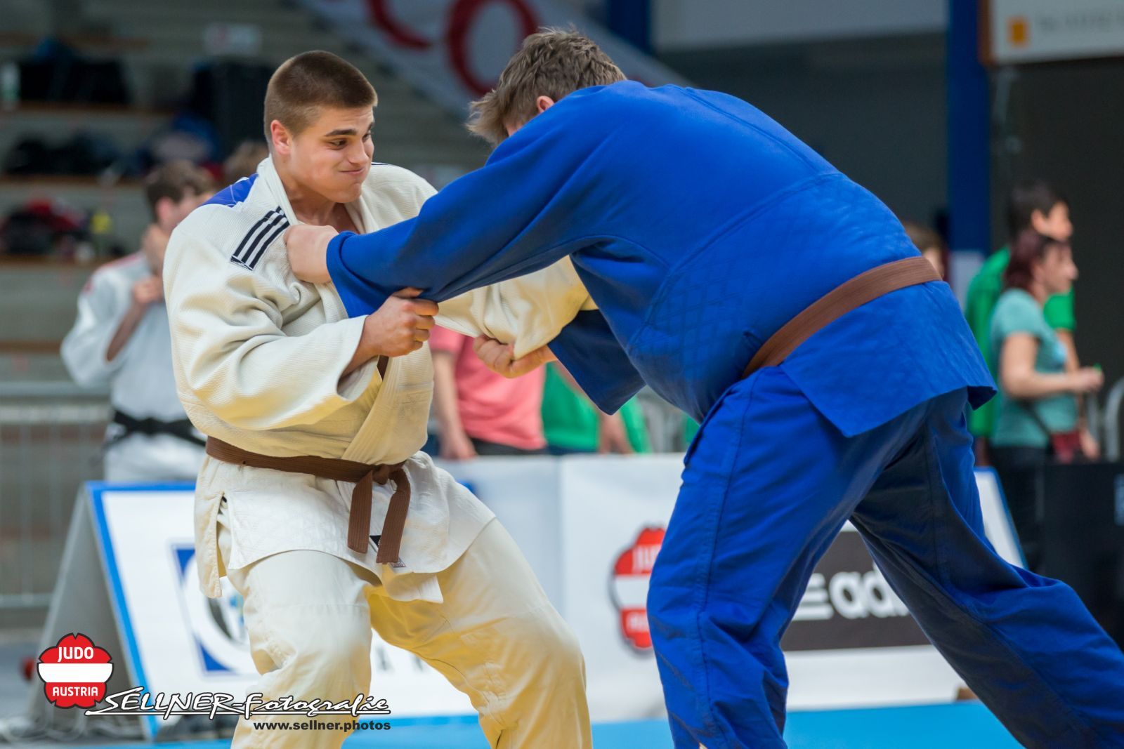 Sechs Debütanten Bei EM - Judo Austria