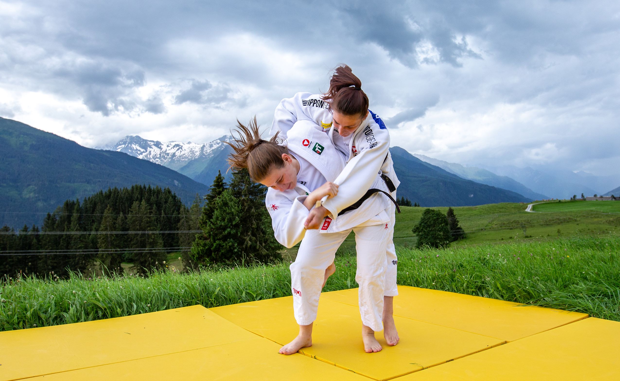 Gutes Zeugnis - Judo Austria